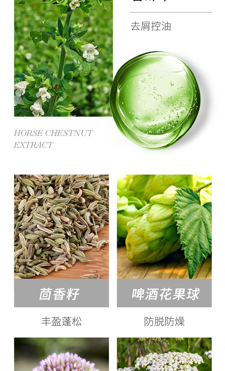 复方草本_06.jpg