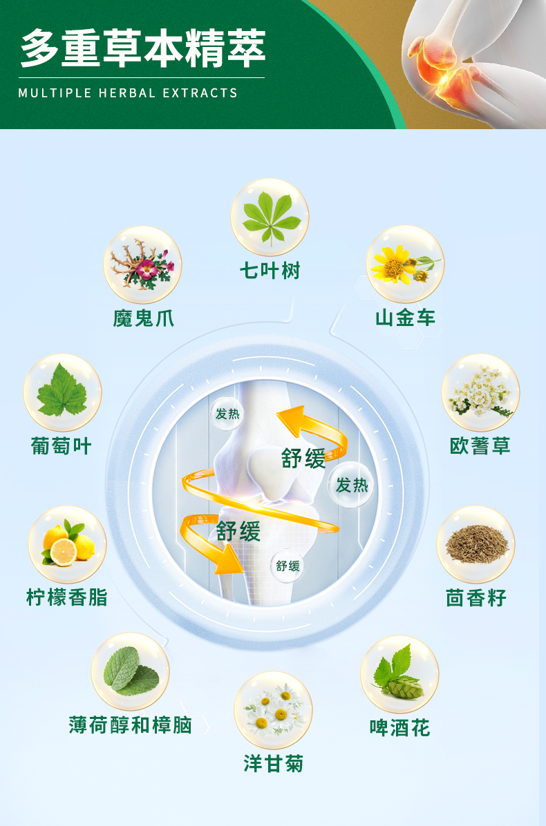 白金版250_04.jpg