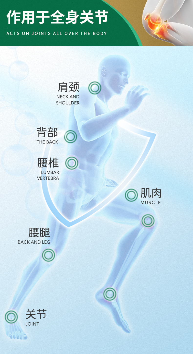白金版250_05.jpg